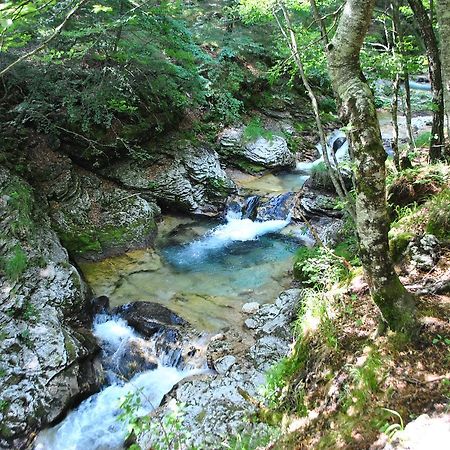 Bed and Breakfast R&B La Gerla Blu Tolmezzo Zewnętrze zdjęcie