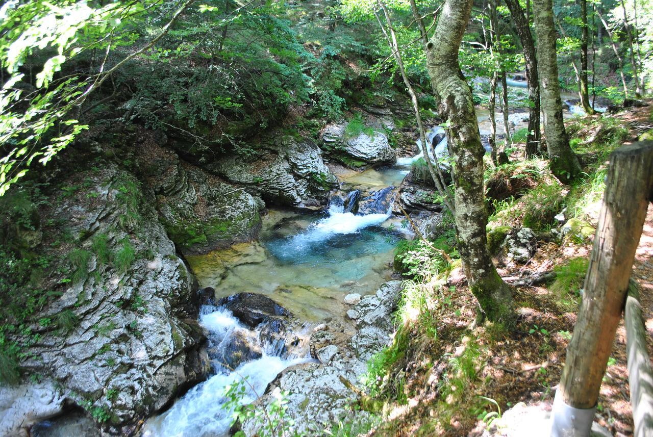 Bed and Breakfast R&B La Gerla Blu Tolmezzo Zewnętrze zdjęcie