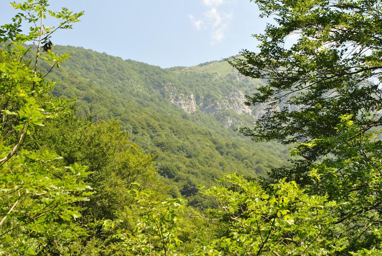 Bed and Breakfast R&B La Gerla Blu Tolmezzo Zewnętrze zdjęcie